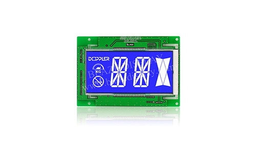 Segment LCD Display Module